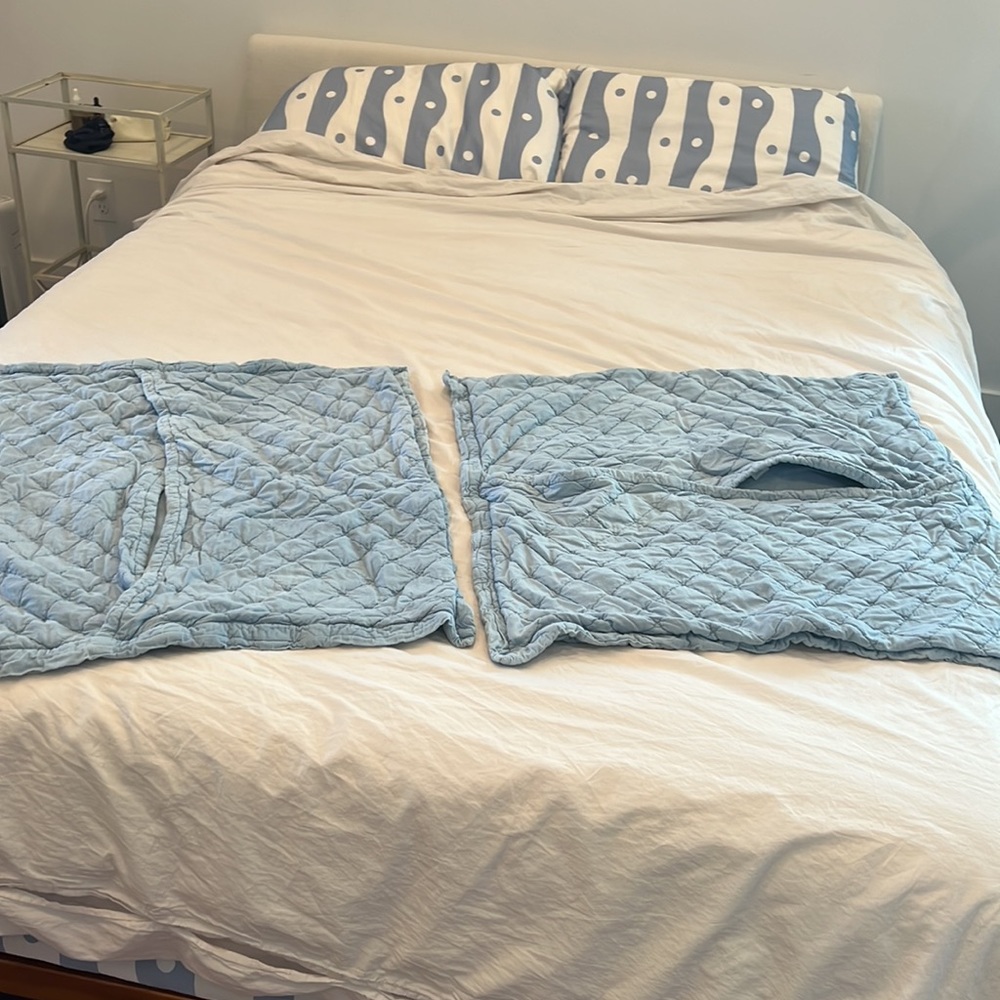 Garnet Hill stonewashed Organic-Cotton Euro Shams